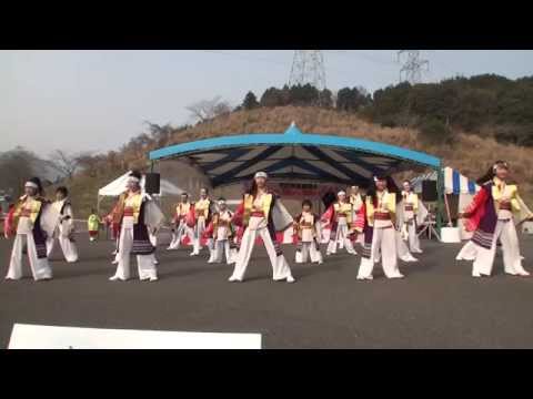 黒田官兵衛PR隊さん　2015　有田・焱YOSAKOI