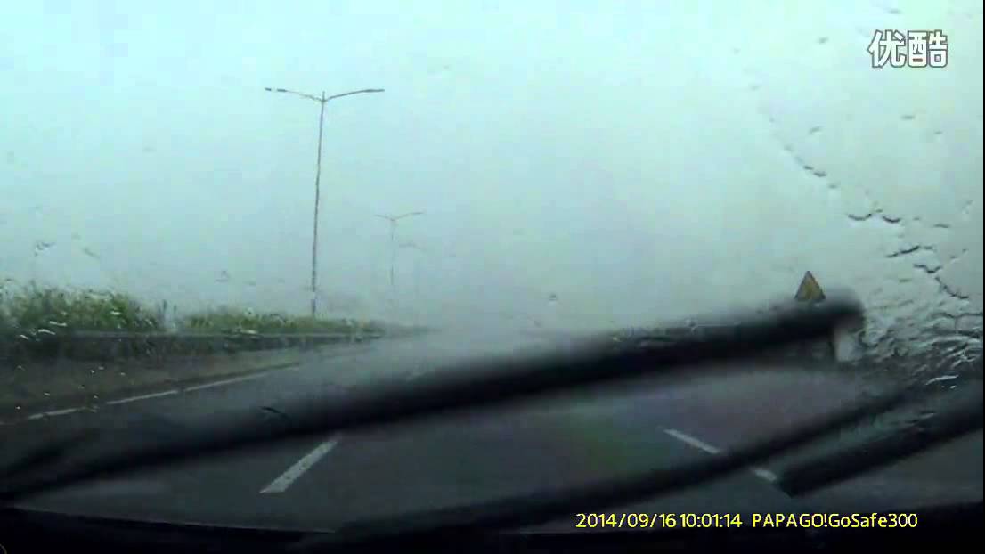 Seagull hurricanes basuo by Dongfang City, Hainan Province