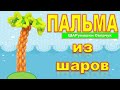 Пальма из воздушных шаров. Мастер класс/Balloon palm. Master Class.