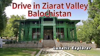 Balochistan Bliss: A Scenic Drive in Ziarat Valley