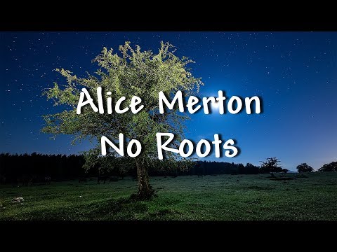 Alice Merton - No Roots - Lyrics