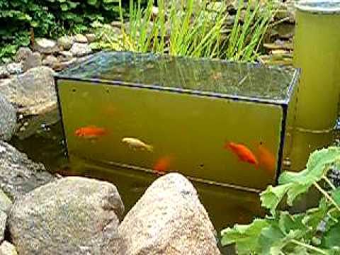 Aquarium andersrum im Teich YouTube