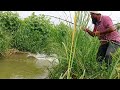 🎣 Grass Carp Fishing||🎣Rohu Fish Catching||Grass carp/Rohu Fish catching||Rohu Fishing|Fish Hunting
