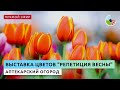 Экскурсия по выставке "Репетиция весны"