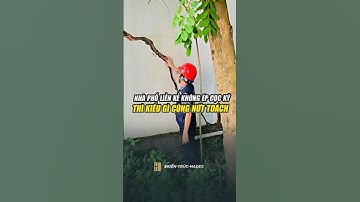 Nhà phố liền kề mà không ép cọc kỹ thì kiểu gì cũng nứt toách #HadesArchitecture