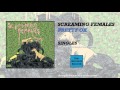 Screaming females  pretty ok official audio