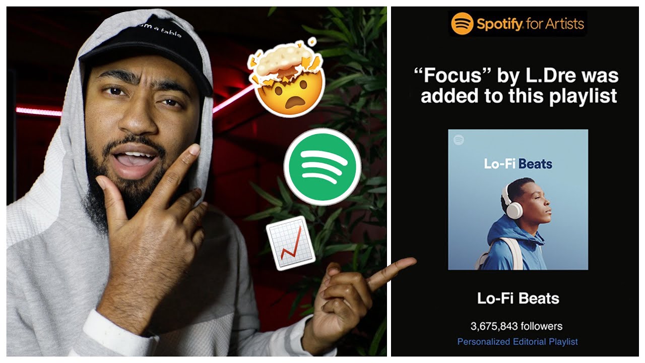 In Focus  Spotify for Artists