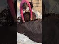 Proper mixing with Organic Vermi Compost