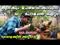 നഖം കളയാന്‍ എളുപ്പമാര്‍ഗ്ഗം : DOG NAIL GRINDER : How to Trim Your Dog's Nails at Home : NAIL CUTTING