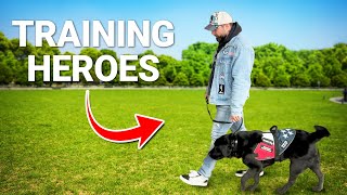 I Trained a Service Dog and Here's How I Did It by Shannon Walker - The Pack Leader 471 views 5 months ago 5 minutes, 39 seconds