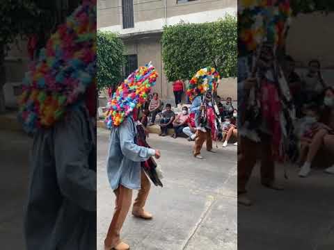 Danza de los