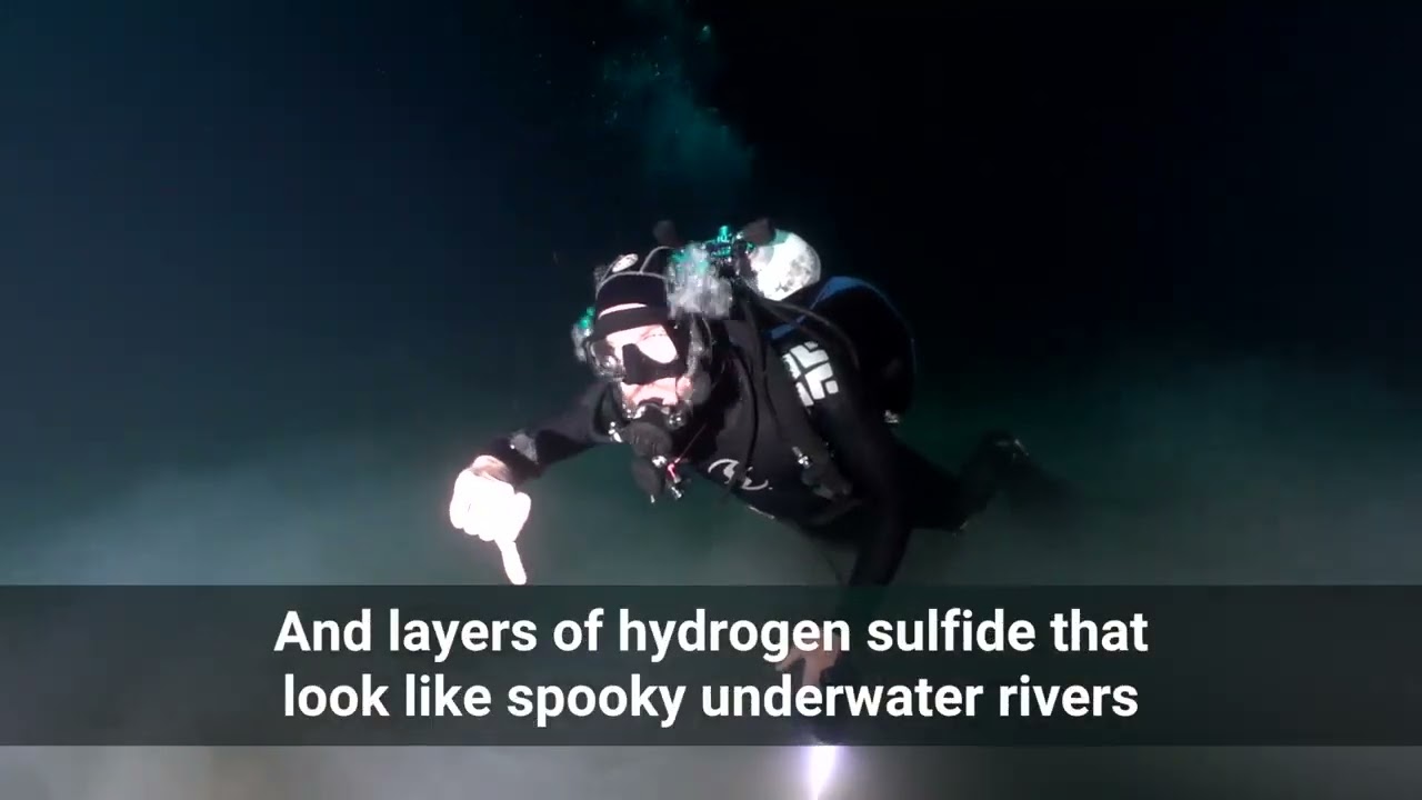 Cenotes - My Private Dive - Premium Dive Center Riviera Maya