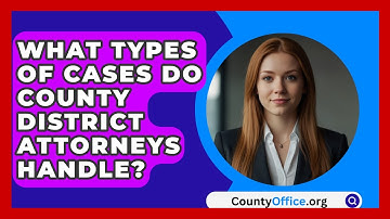 What Types Of Cases Do County District Attorneys Handle? - CountyOffice.org