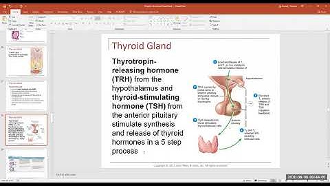 Chapter 18 Part 2 Video