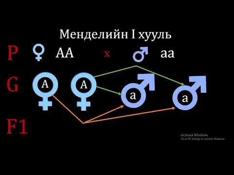 Видео: Биологийн генетикийн асуудлыг хэрхэн шийдвэрлэх