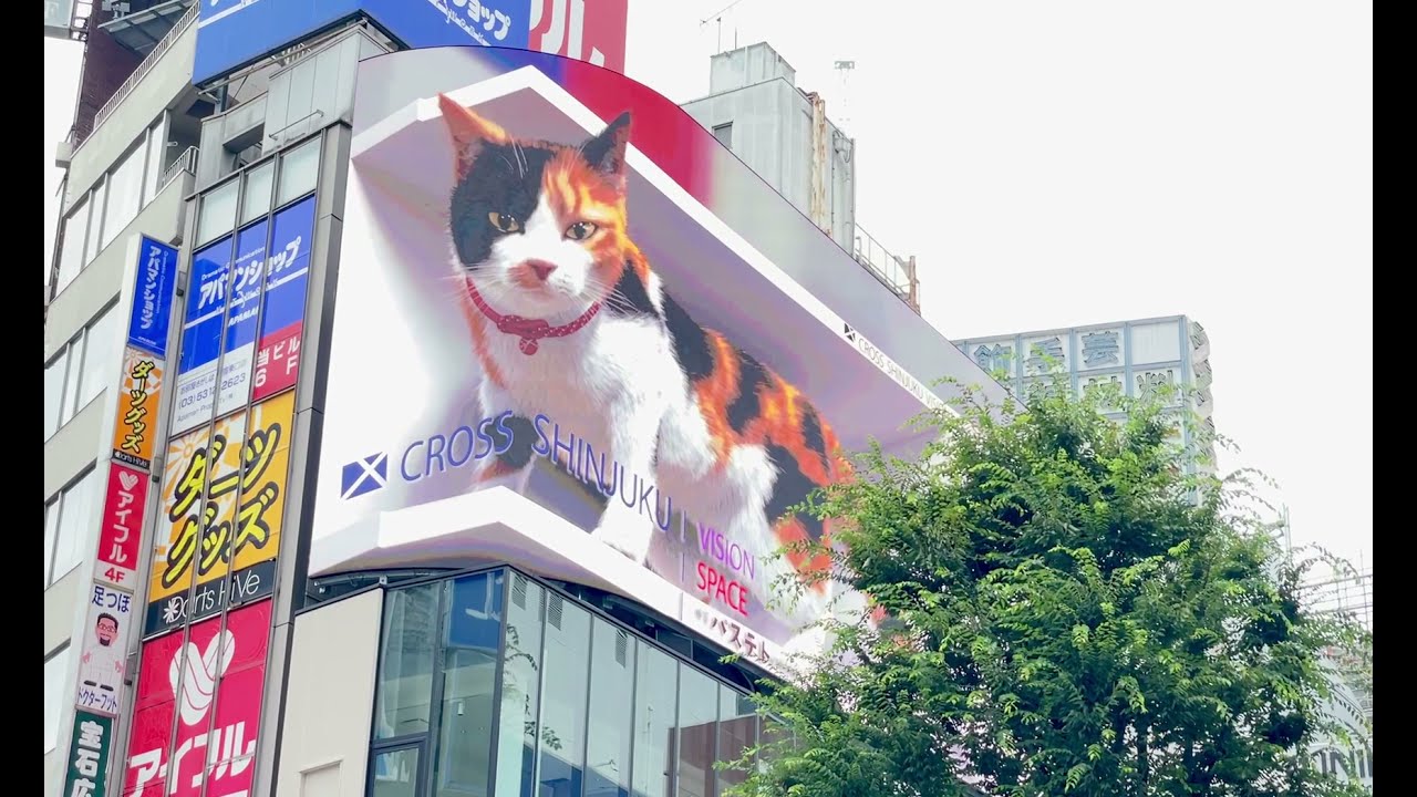映像あり 新宿アルタ近くに巨大な三毛猫が出現 眠ったり通行人に話しかけることもあるニャ Cat Press 映像あり 新宿アルタ近くに巨大な三毛猫が出現 眠ったり通行人に話しかけることもあるニャ Cat Press