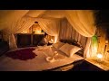 Girl Living Off The Grid, Build The Most Beautiful Bamboo Villa Interior to Live Off Grid