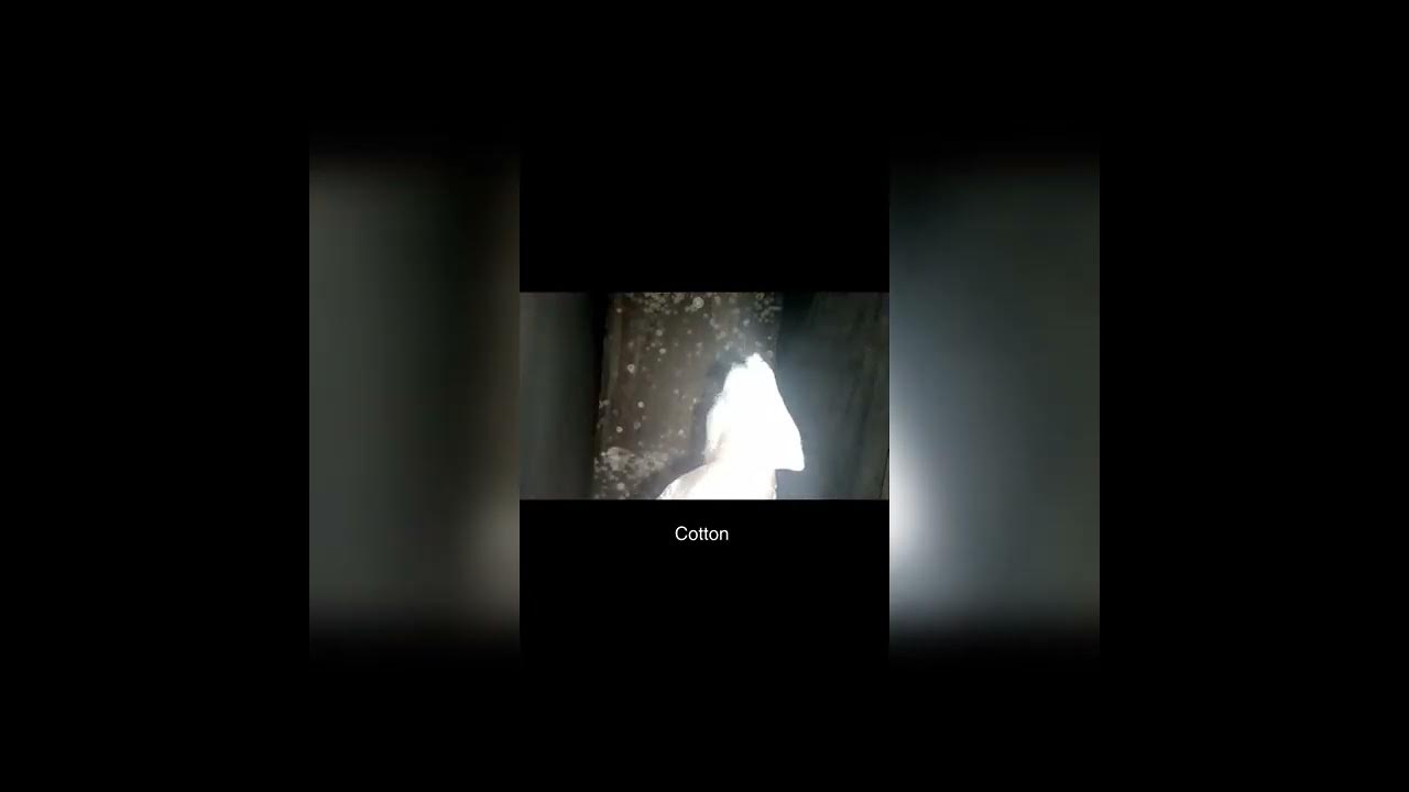 "HOW TO CLEAN MOLD/ FUNGUS ON WOOD CUPBOARD" YouTube