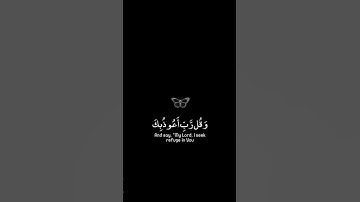 تلاوة هادئة تريح الأعصاب 😴🎧 | القاريء ماهر المعيقلي - سورة فاطر🤍🌥️."