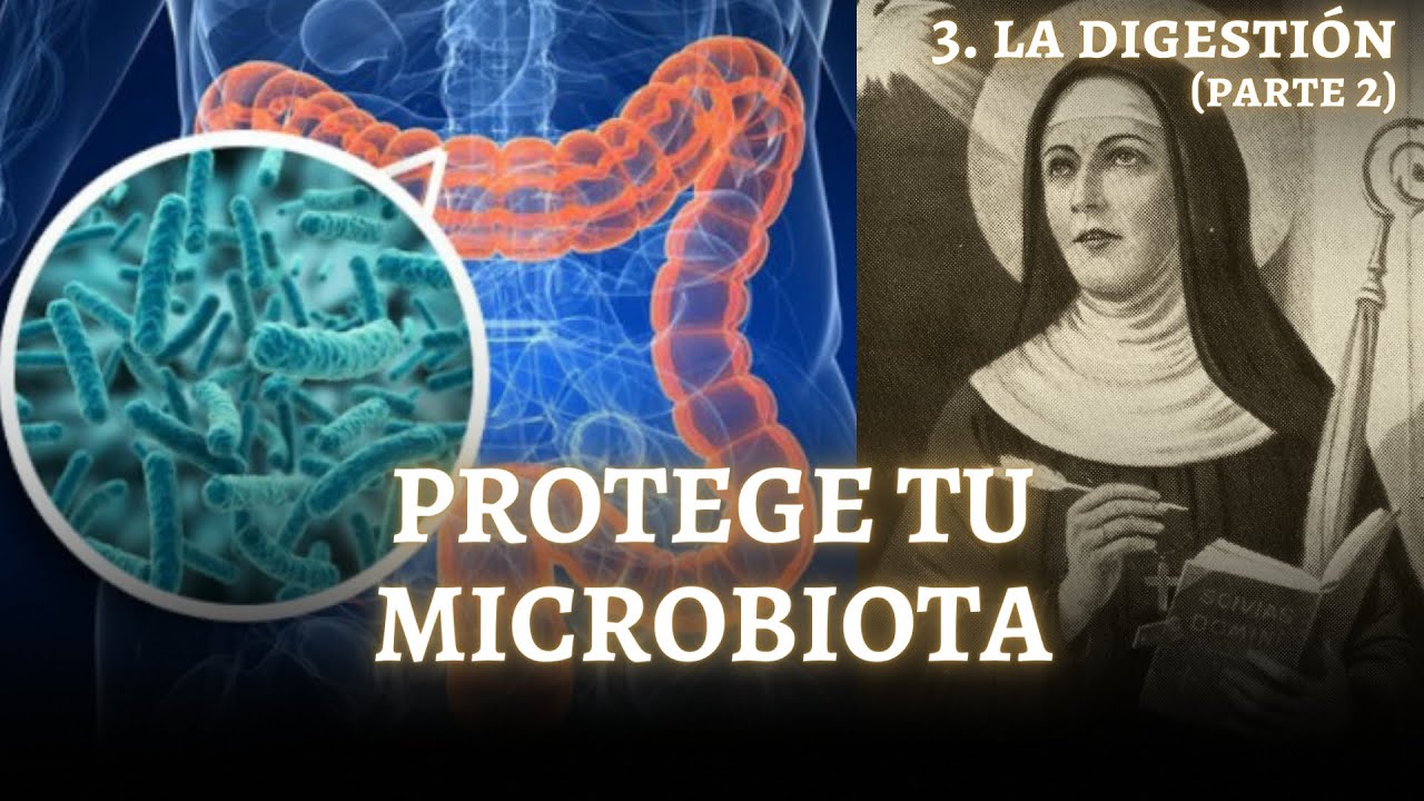 MÉTODO SANTA HILDEGARDA 3: PROTEGE TU MICROBIOTA