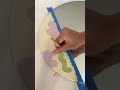 Diy mirror art with the crockd acrylic paint set 