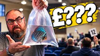 I Tried Selling My Fish at an Auction… Was It a Mistake?