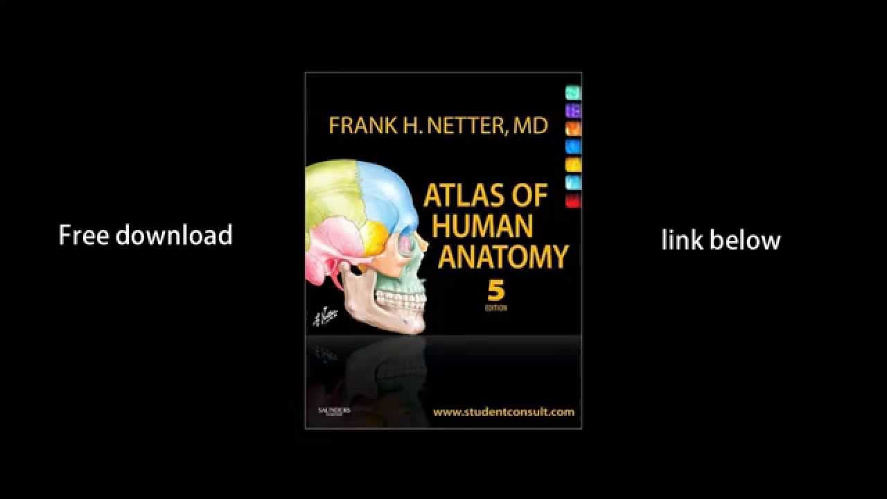 Frank Netter Atlas Of Human Anatomy Download Free