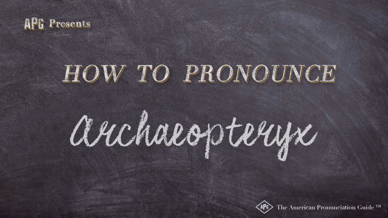 Archaeopteryx pronunciation
