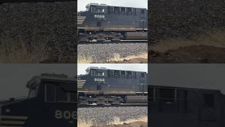 WOW7 locomotives of the leader & some brand new GEVO ￼& amazing NS ES44AC H-KCKDEN1-08A shorts