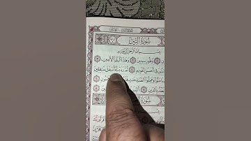 سورة التين #دويتو #الرحمن #funny #القزابري #تيك_توك #العظماء #المصحف #اكسبلور #الورقات #answer
