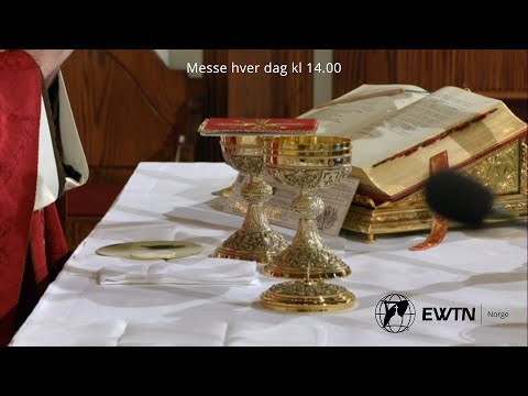 Catholic Daily Mass