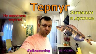 Терпуг в духовке. Запекаем с овощами. Очень вкусно! niknamevlog - кухня