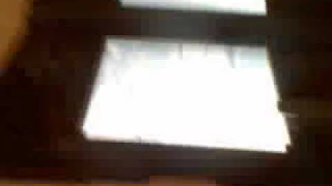 how to play nintendogs part 2