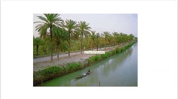 Farsi Reading: For Intermediate to Advanced Farsi Learners: Book 6- Lesson 23