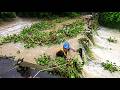 Removing Floating Plants Clogged Dam Drainage Crossing Fix