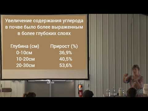 Зерновые, тритикале, технические