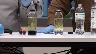 Roanoke Public Libraries - DIY Lava Lamp