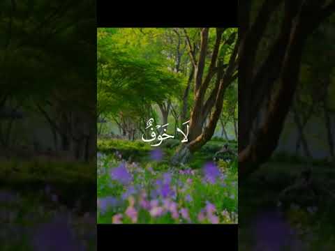 ال أ خ ل اء ي و م ئ ذ ب ع ض ه م ل ب ع ض اكسبلور قرآن راحة نفسية المصحف راحة نفسية Fyp