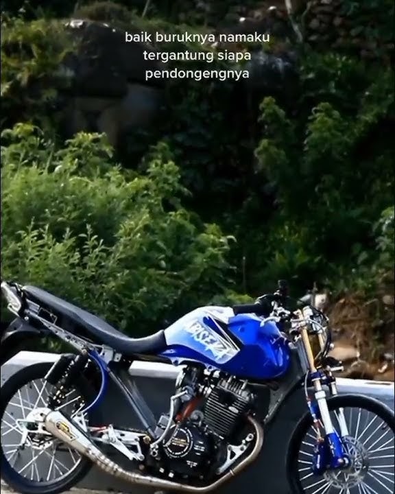 storywa tiger abiseka || kata kata herex terbaru #herex #tigertrondol #tigerabiseka