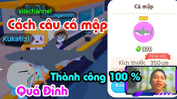 Play Together, Cách Câu Cá Mập Siêu To Khổng lồ Thành Công 100% Trong Play Together