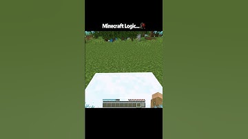 Minecraft Bedrock Edition Logic