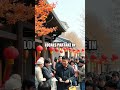 The Spectacular Chuseok Festival in South Korea