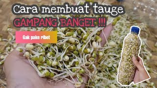 Tutorial Cara Mudah Membuat Tauge Kecambah Kacang Hijau  Versi Rumahan