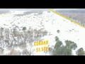 Відеоогляд плантації с.Соколя лютий2021