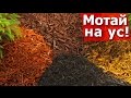 Мульча, что это такое / Мотай на ус!