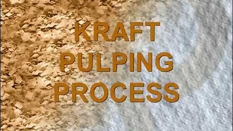 Pulp and Paper Process Flow Introduction
