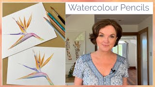 Watercolour pencil tutorial;  Hints and tips