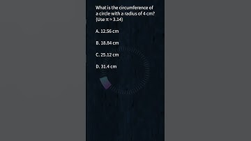 Test Your Brain with This Quick Circle Math Puzzle!