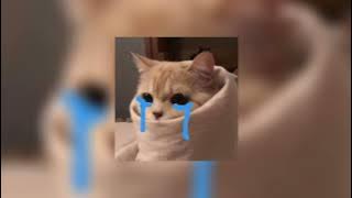 homesick - wave to earth (sped up)