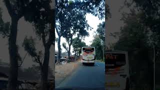 selendang biru #music